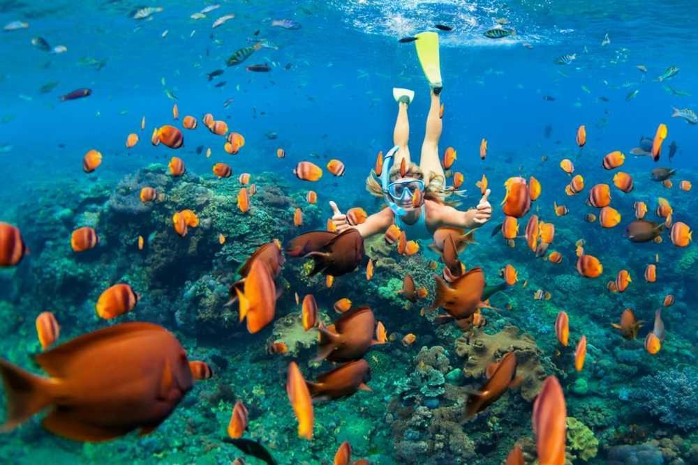 Ocean Blue Villa, Flic-En-Flac Bagian luar foto